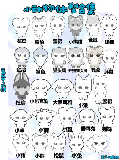 模板