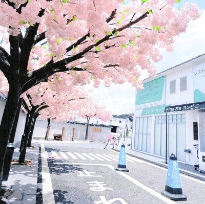 任君凭栏我栖春山