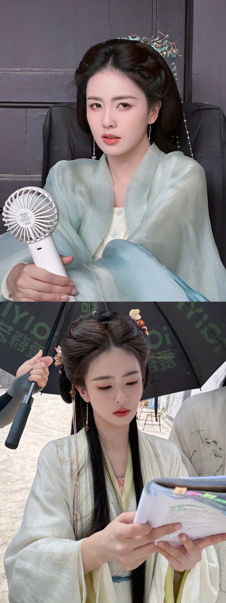 白鹿