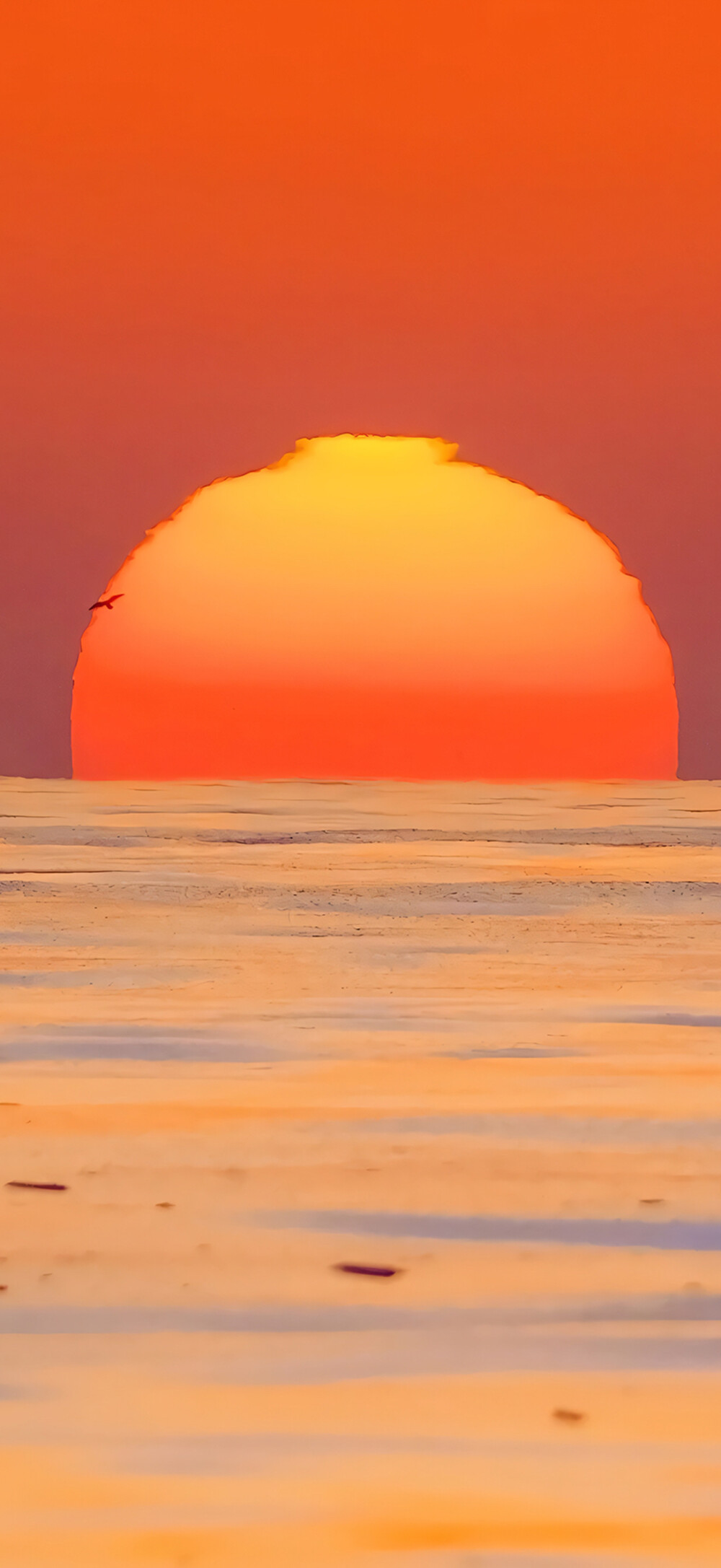橙色