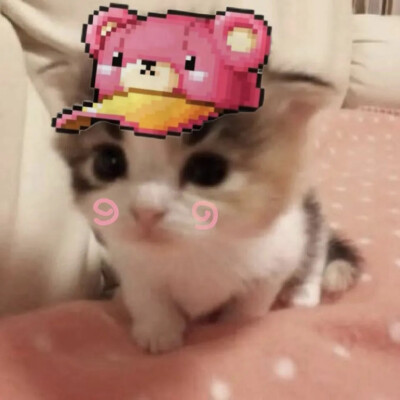 古早小猫头像