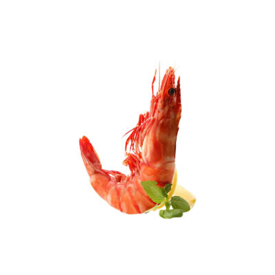 白底头像
