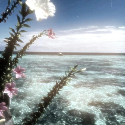 海洋核