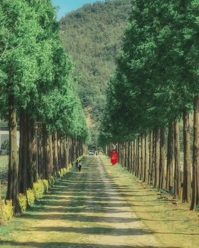 忆