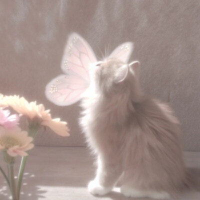 猫咪 头像