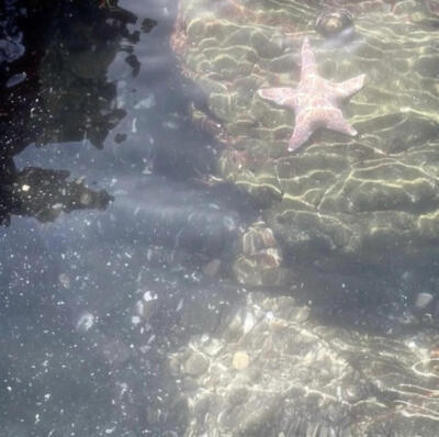 海洋核