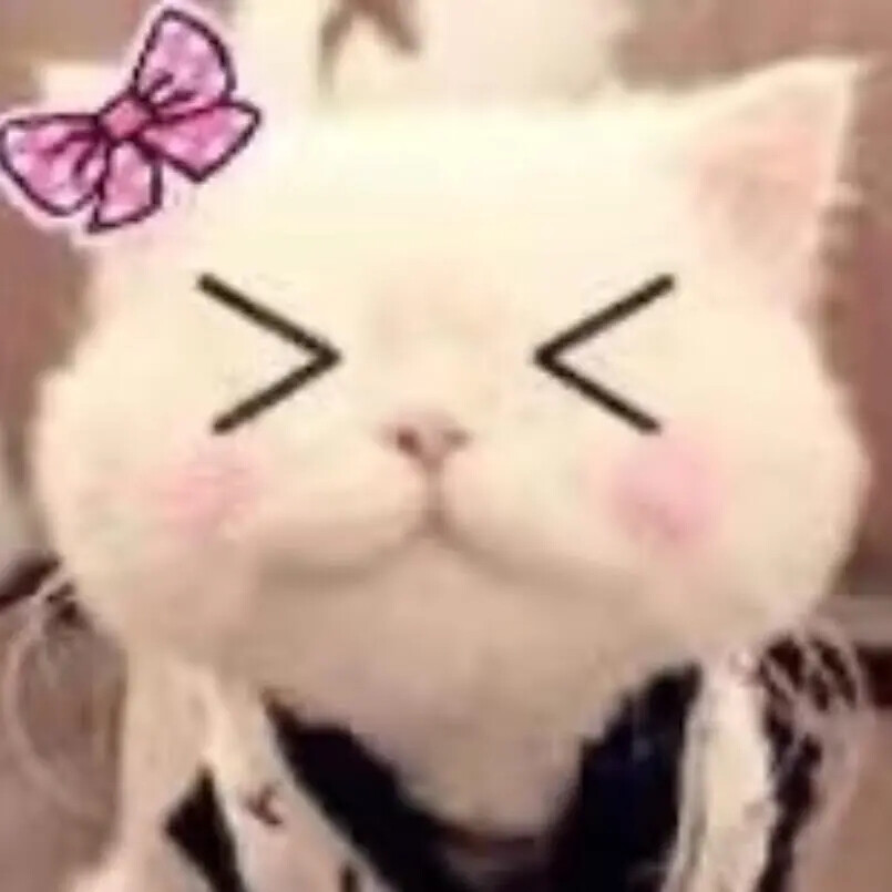 古早小猫头像