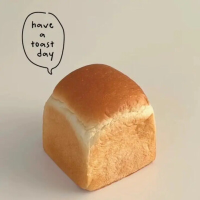 /ᐠっ˕ -マ