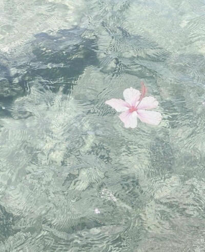 海洋核