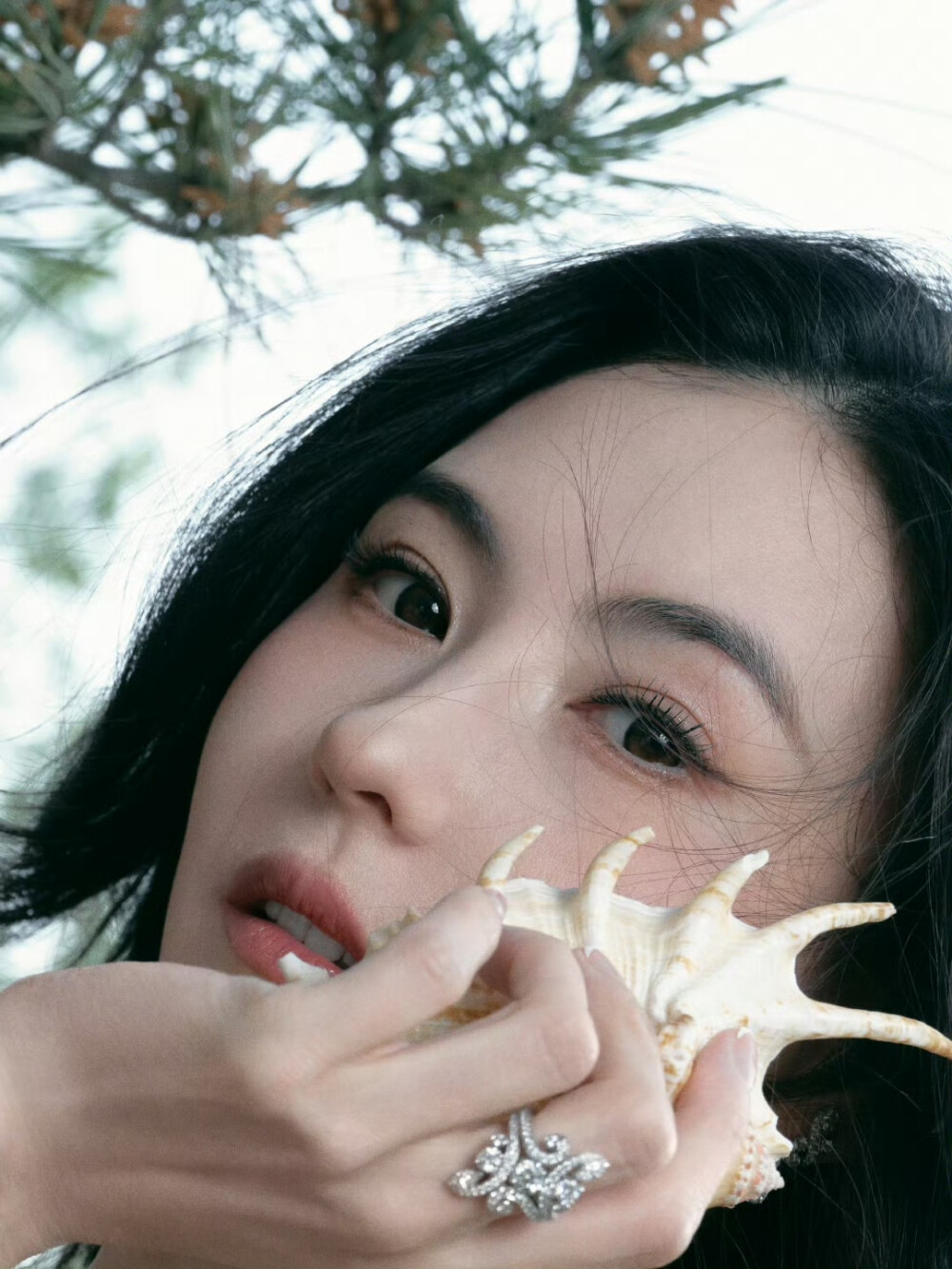 张柏芝