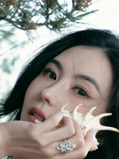 张柏芝