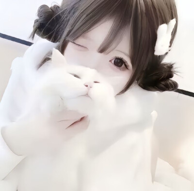 权威女头