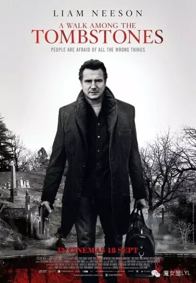 行过死荫之地 A Walk Among the Tombstones (2014)