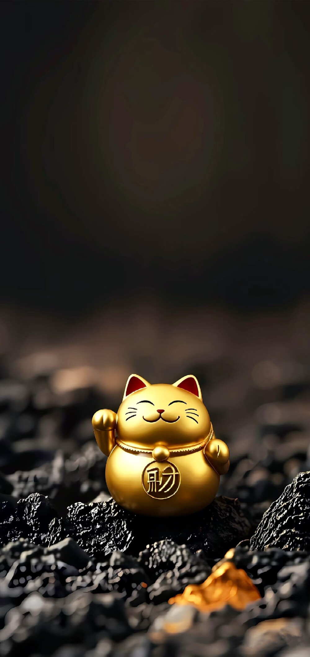 财财(*＾v＾*)