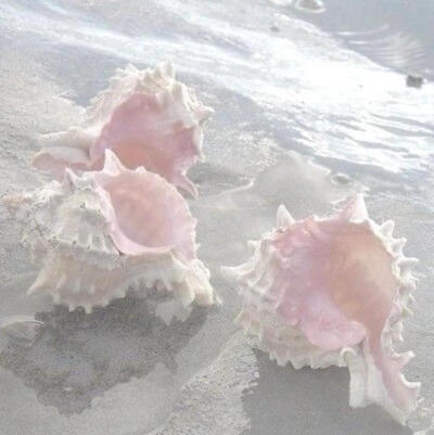 海洋核