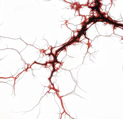 爱你垂眸下的泪滴