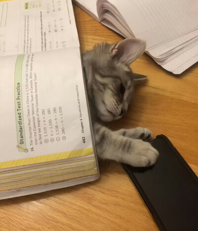 生