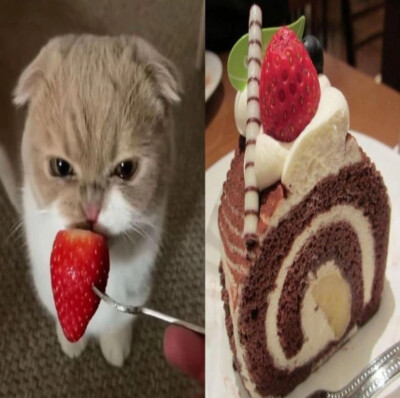 不单收你就完蛋了