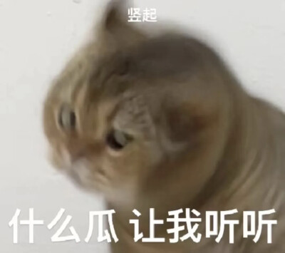 抽象表情包