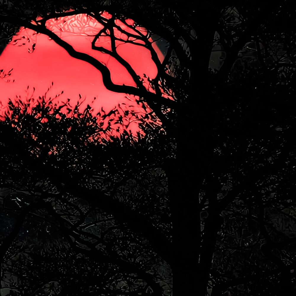  王楚然* “七月十七日没有下雨.”
原猫姆仕 cr.苏稚童