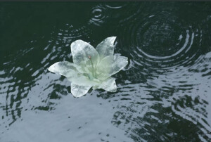 镜花水月 清冷 壁纸 手机壁纸 横屏壁纸 ipad壁纸 电脑壁纸 图片来源于抖音@望江