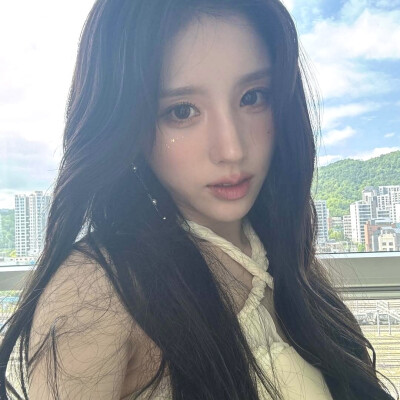 田姬振