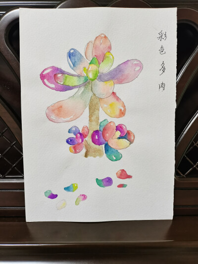 28 彩虹多肉（绘画 | 水彩 | 果花甘03）
2018.6.24
自然界中没有这样五彩斑斓的多肉植物。
画这幅画之前，调了彩虹色画了彩虹玫瑰，画完玫瑰还有余墨，于是拿出来多肉植物的线稿，染了一个彩虹色的多肉植物。
像糖…