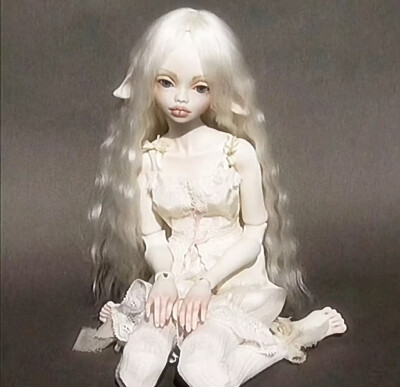 2.5次元