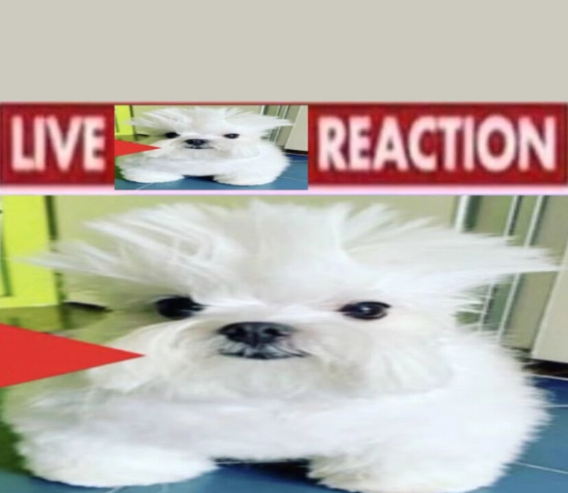 单收