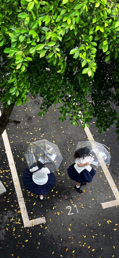 小众壁纸