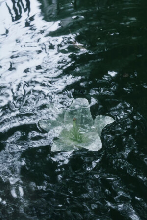 镜花水月 清冷 壁纸 手机壁纸 横屏壁纸 ipad壁纸 电脑壁纸 图片来源于抖音@望江