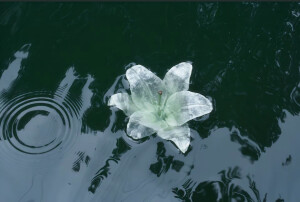 镜花水月 清冷 壁纸 手机壁纸 横屏壁纸 ipad壁纸 电脑壁纸 图片来源于抖音@望江