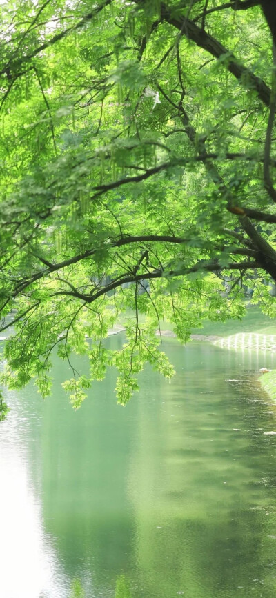 小众壁纸