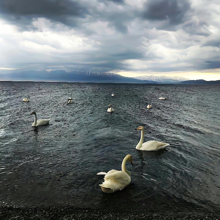 小众背景图