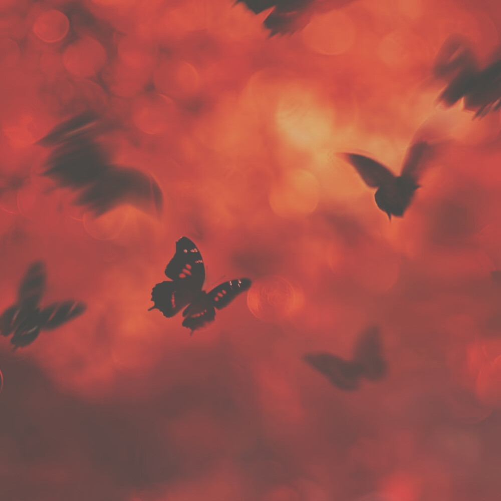 摇晃的红酒杯
☆宁艺卓