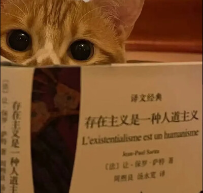生
