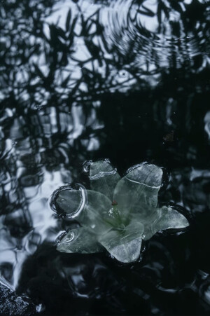 镜花水月 清冷 壁纸 手机壁纸 横屏壁纸 ipad壁纸 电脑壁纸 图片来源于抖音@望江