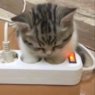 发一点小宝贝们