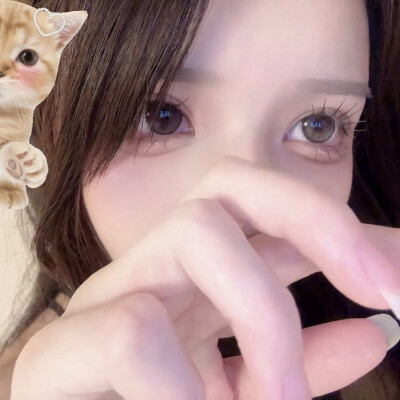(=´∀｀)人(´∀｀=)