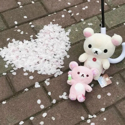 背景图