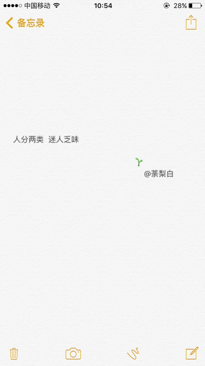 文字