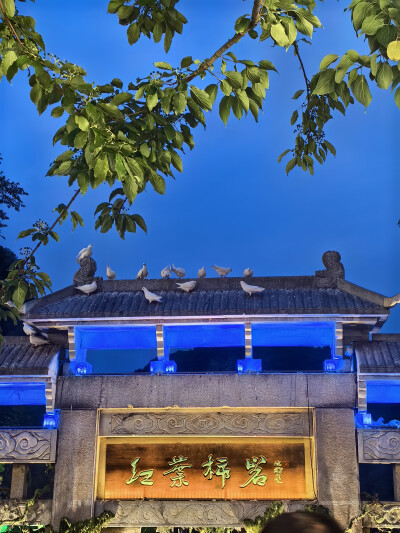 红叶柿岩-山东文旅