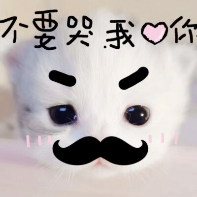 我一直在哭