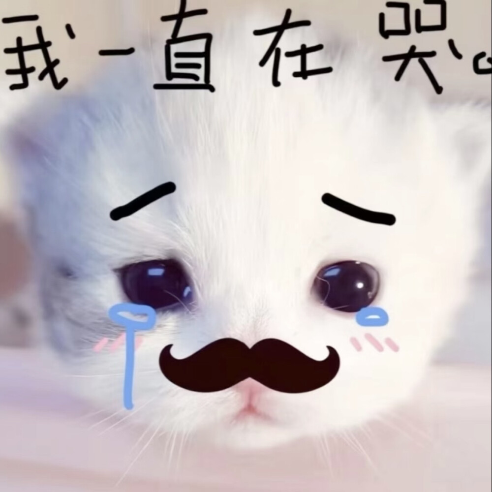 我一直在哭