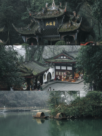 《丈人山》
〈唐〉 杜甫
自为青城客，不唾青城地。为爱丈人山，阶梯近幽意。
丈人祠西佳气浓，缘云拟往最高峰。扫除白发黄精在，君看他时冰雪融。