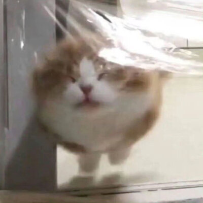 发一点小宝贝们