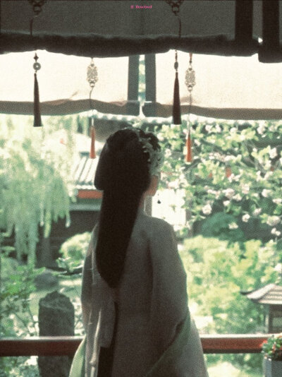 空镜
