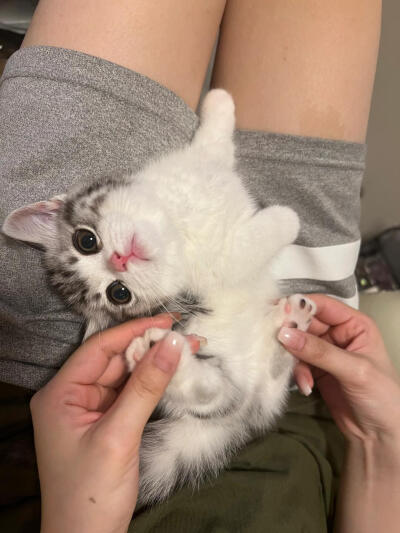 发一点小宝贝们