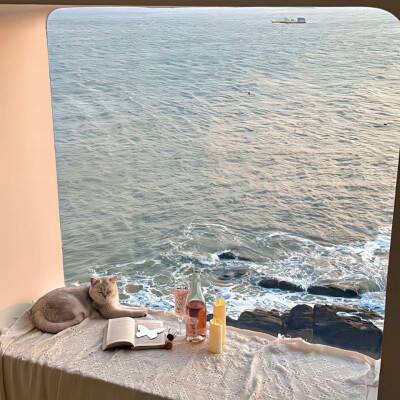 悄悄退场