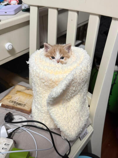 发一点小宝贝们